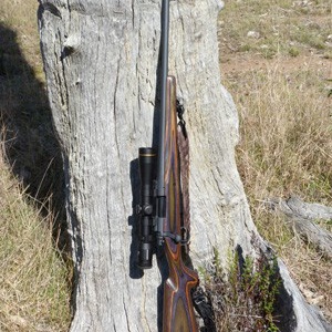 Sniper Grey is a good colour for a hunting rifle.
